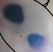 太陽