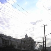 ひかげ