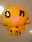 まいこ