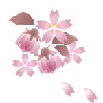 亜登 里絵