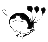 かぼ