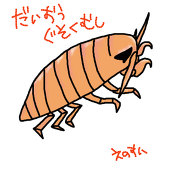 あきはめ