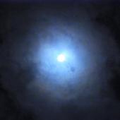 ６