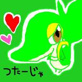 ちまむ