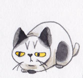 まゆつば