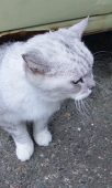 海斗