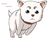 ねこまんま