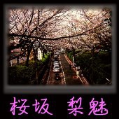 桜坂梨魅