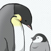 507個