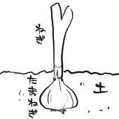 こゐあゐゐぬぬこ