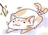 どまどま