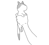 河内こくぶ