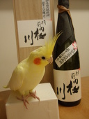 ハニハニ