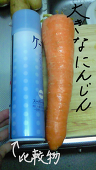 佑