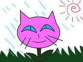 にゃんこおばさん