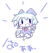 sasa