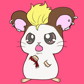 みやこ
