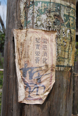 黑貓(黑喵)