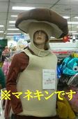 enoki