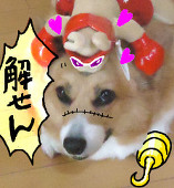 桃ヰ