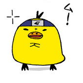 porc0