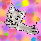 ☆まあみん☆