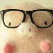 pig