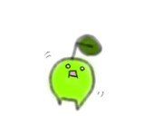ゆた
