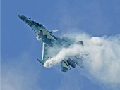 Журавлик