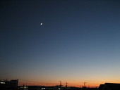 さやか