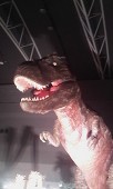 トラフルクリーム
