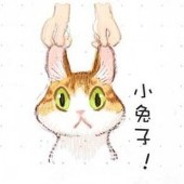 夏桑菌