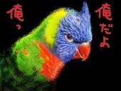 綾蔵