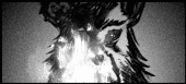 Gasoku