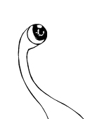 にょっき