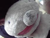 タロー