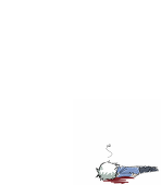都々春