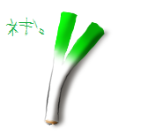 紙