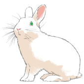 なぎ