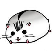 高崎サキタカ