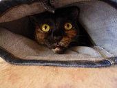 ねむり