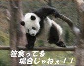 糸巻こまき