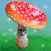 キノコ＊のんびり