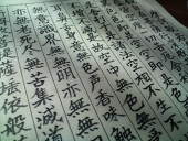 黒崎　菌