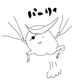 毛玉00