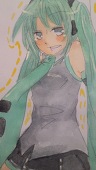 カキツバター