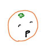 ぽんかん