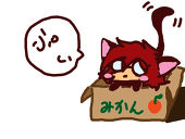 ぴよりねこ