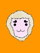 Aslan