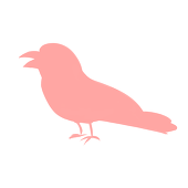 カラス